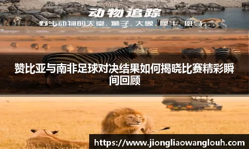 赞比亚与南非足球对决结果如何揭晓比赛精彩瞬间回顾