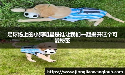 必一运动b-sports平台